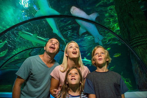 SEA LIFE Sunshine Coast Aquarium Entrance Ticket - Foster Accommodation 3
