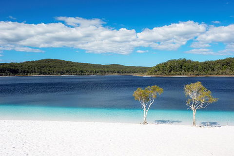 All-Inclusive Fraser Island Day Tour - Foster Accommodation 3