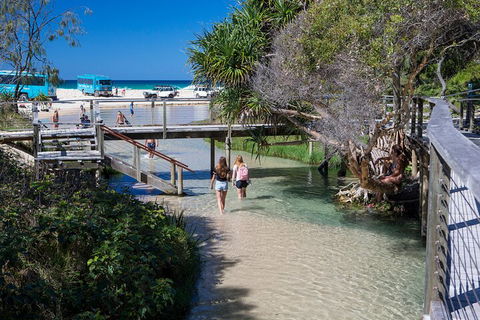 All-Inclusive Fraser Island Day Tour - Foster Accommodation 4