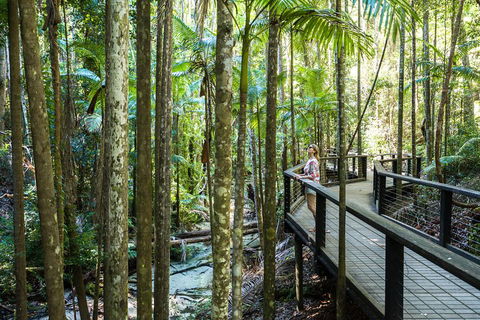All-Inclusive Fraser Island Day Tour - Foster Accommodation 5