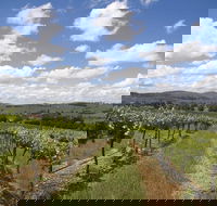 Hunter Valley Wine Tour from Sydney incl Lunch Cheese Chocolate and Distillery - Foster Accommodation