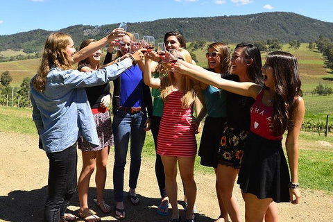 Hunter Valley Wine Tour From Sydney Incl Lunch, Cheese, Chocolate And Distillery - Foster Accommodation 3