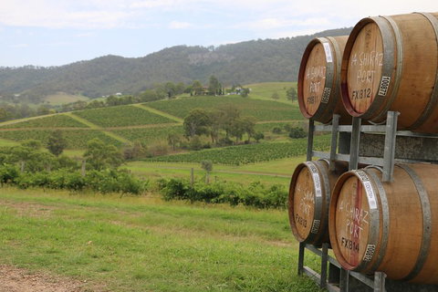 Hunter Valley Wine Tour From Sydney Incl Lunch, Cheese, Chocolate And Distillery - Foster Accommodation 5