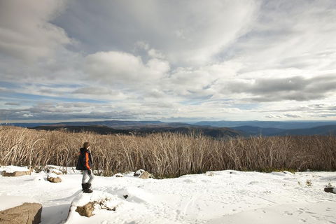Lake Mountain Snow Trip Including Yarra Valley Chocolaterie From Melbourne - Foster Accommodation 5
