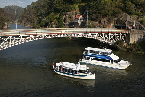 2.5 Hour Morning Discovery Cruise Including Sailing Into The Cataract Gorge - Foster Accommodation 5