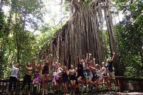 Atherton Tablelands Waterfalls Tour From Cairns - Foster Accommodation 5