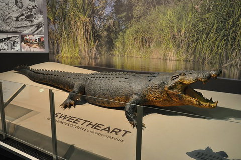 Explore Darwin City Sights Including Key Attractions - Foster Accommodation 2
