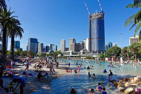 Brisbane Like A Local Customized Private Tour - Foster Accommodation 5