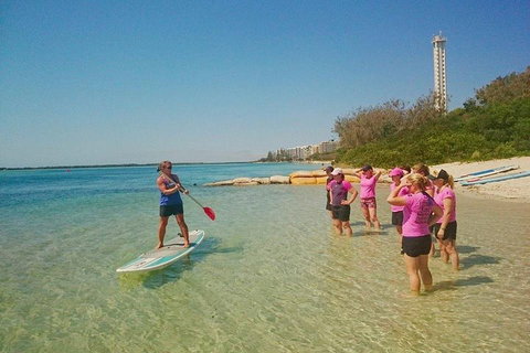 Golden Beach 1-Hour Stand-Up Paddleboard Hire On The Sunshine Coast - Foster Accommodation 1