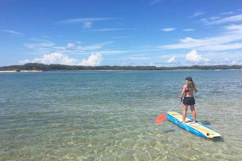 Golden Beach 1-Hour Stand-Up Paddleboard Hire On The Sunshine Coast - Foster Accommodation 4