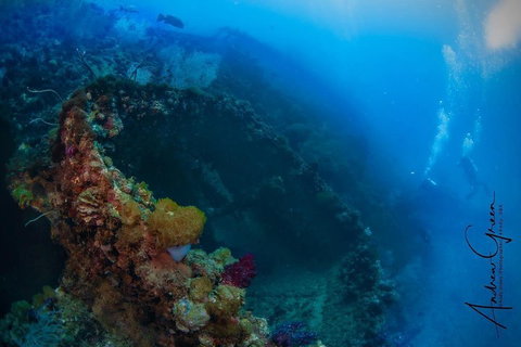Scuba Dive The S.S. Yongala Wreck On The Great Barrier Reef. - Foster Accommodation 3