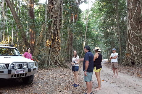 Great Beach Drive 4WD Tour - Private Charter From Noosa To Rainbow Beach - Foster Accommodation 1