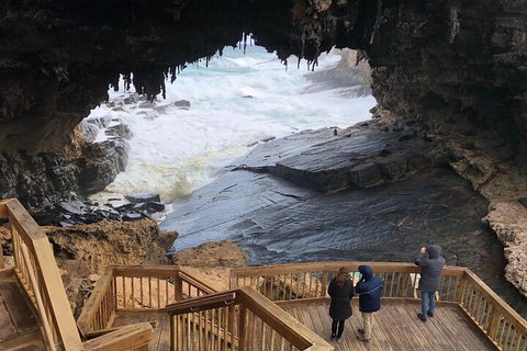 Kangaroo Island 4WD Tour - Best Of KI - Foster Accommodation 1