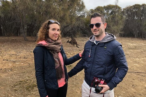 Kangaroo Island 4WD Tour - Best Of KI - Foster Accommodation 3