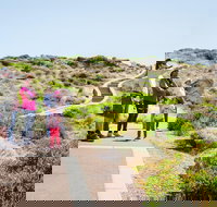 Margaret River Coastal and Wildlife Eco Trip from Busselton or Dunsborough - Foster Accommodation