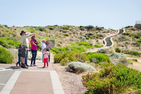 Margaret River Coastal And Wildlife Eco Trip From Busselton Or Dunsborough - Foster Accommodation 0