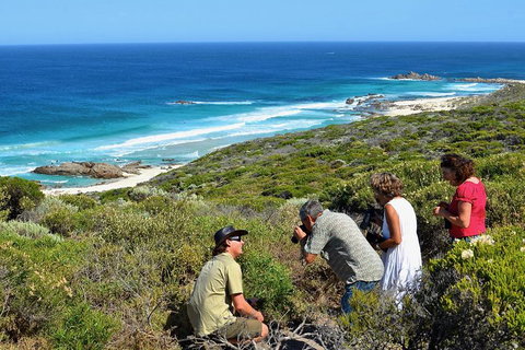 Margaret River Coastal And Wildlife Eco Trip From Busselton Or Dunsborough - Foster Accommodation 2